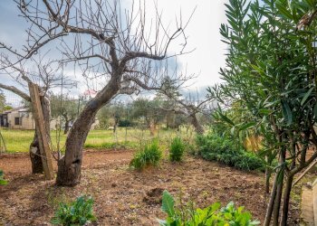 Giardino - Villa contrada camemi, Piazza Armerina - foto 34