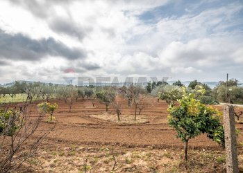 Giardino - Villa contrada camemi, Piazza Armerina - foto 40
