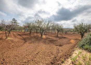 Giardino - Villa contrada camemi, Piazza Armerina - foto 44