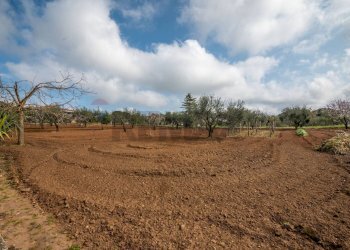 Giardino - Villa contrada camemi, Piazza Armerina - foto 45