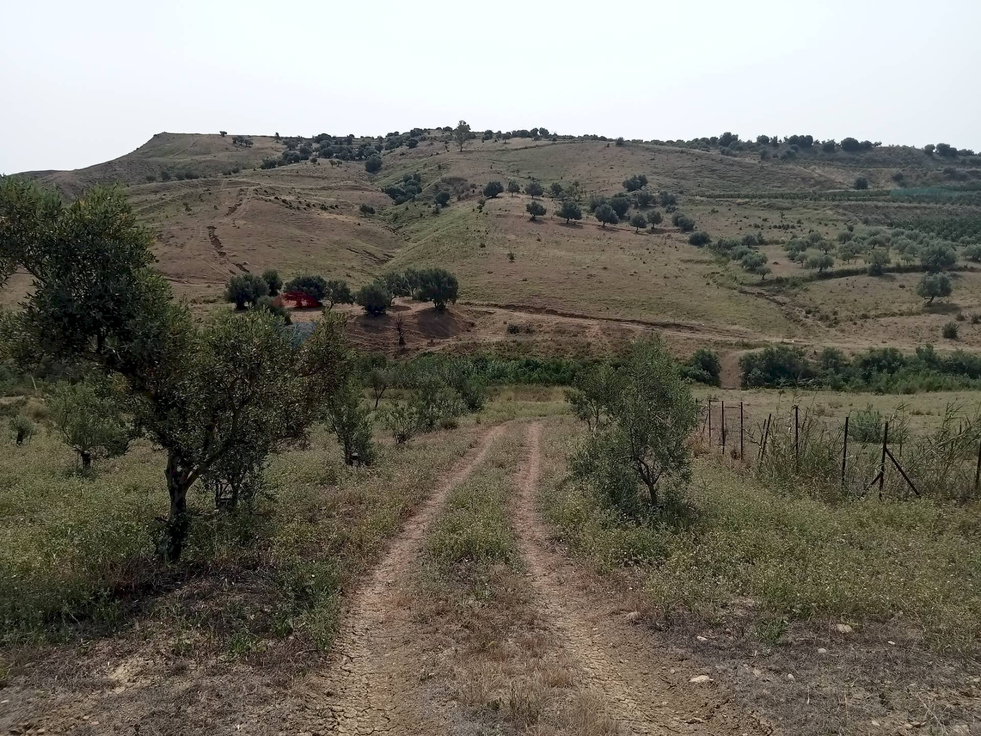 Vista delle montagne - Terreno agricolo Via dell'Ulivo Millenario
 
3, Motta Sant'Anastasia - foto 3
