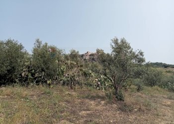 Giardino - Terreno agricolo Via dell'Ulivo Millenario
3, Motta Sant'Anastasia - foto 2