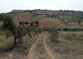 Vista delle montagne - Terreno agricolo Via dell'Ulivo Millenario
3, Motta Sant'Anastasia - foto 3