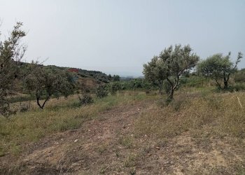 Vista delle montagne - Terreno agricolo Via dell'Ulivo Millenario
3, Motta Sant'Anastasia - foto 4