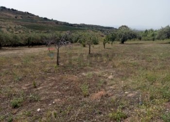 Vista delle montagne - Terreno agricolo Via dell'Ulivo Millenario
3, Motta Sant'Anastasia - foto 6