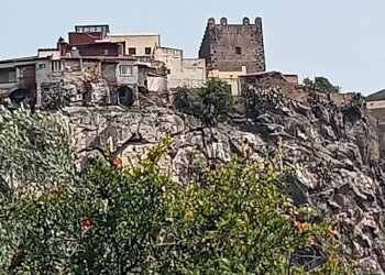 Edificio all\'aperto - Terreno agricolo Via dell'Ulivo Millenario
3, Motta Sant'Anastasia - foto 9