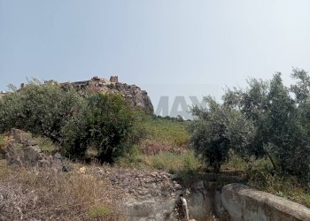 Edificio all\'aperto - Terreno agricolo Via dell'Ulivo Millenario
3, Motta Sant'Anastasia - foto 10