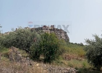 Vista delle montagne - Terreno agricolo Via dell'Ulivo Millenario
3, Motta Sant'Anastasia - foto 11