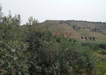 Vista delle montagne - Terreno agricolo Via dell'Ulivo Millenario
3, Motta Sant'Anastasia - foto 12
