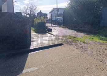 Giardino - Villa Aprilia - foto 38