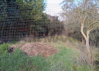 Giardino - Villa Aprilia - foto 40