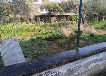 Giardino - Villa Aprilia - foto 41