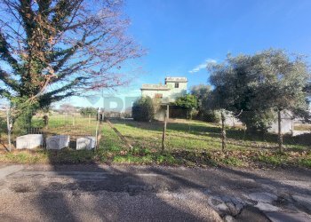 Giardino - Casa indipendente Via Abruzzi
 
59, Anzio - foto 4