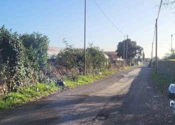 Non correlato - Casa indipendente Via Abruzzi
 
59, Anzio - foto 6