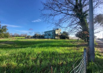Giardino - Casa indipendente Via Abruzzi
 
59, Anzio - foto 9