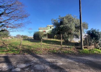 Giardino - Casa indipendente Via Abruzzi
 
59, Anzio - foto 10