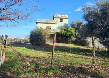 Giardino - Casa indipendente Via Abruzzi
 
59, Anzio - foto 13