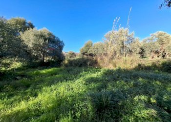 Giardino - Villa Traversa Muragliamele, Floridia - photo 7