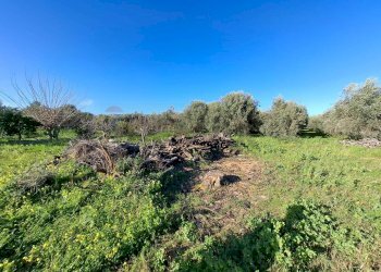 Vista delle montagne - Villa Traversa Muragliamele, Floridia - photo 8