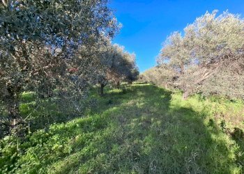 Non correlato - Villa Traversa Muragliamele, Floridia - photo 9