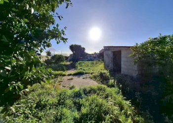 Giardino - Villa Traversa Muragliamele, Floridia - photo 11