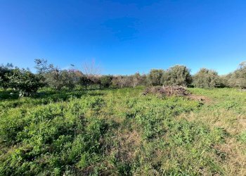 Giardino - Villa Traversa Muragliamele, Floridia - photo 12