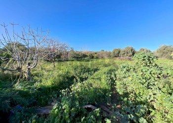 Giardino - Villa Traversa Muragliamele, Floridia - photo 13