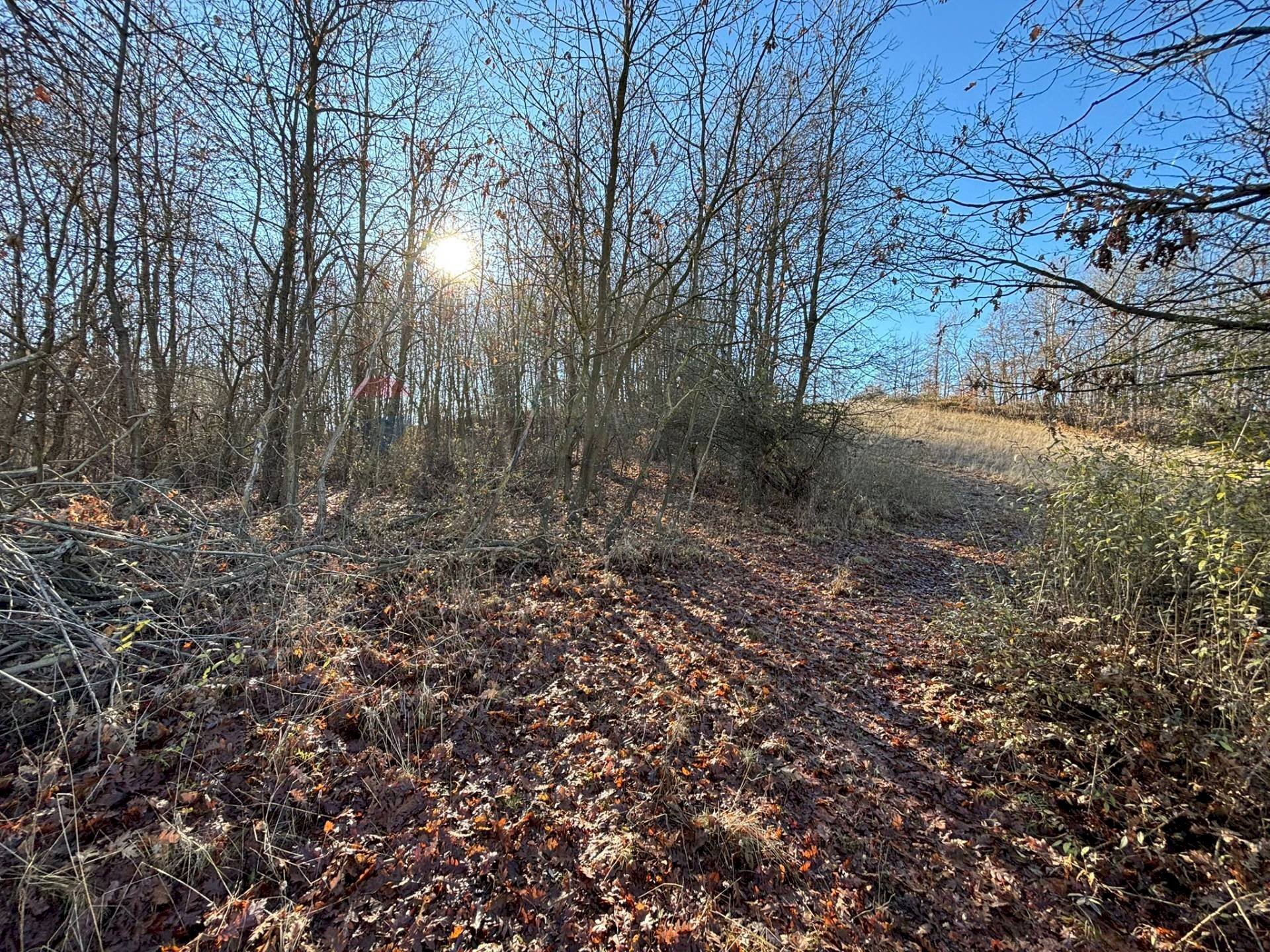 Non correlato - Terreno agricolo Montezemolo - foto 3