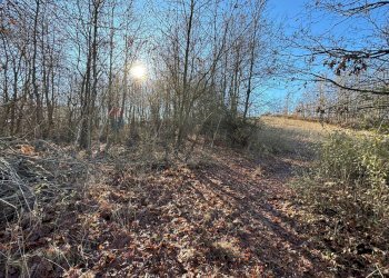 Non correlato - Terreno agricolo Montezemolo - foto 3