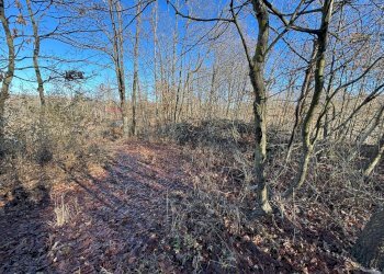 Non correlato - Terreno agricolo Montezemolo - foto 4