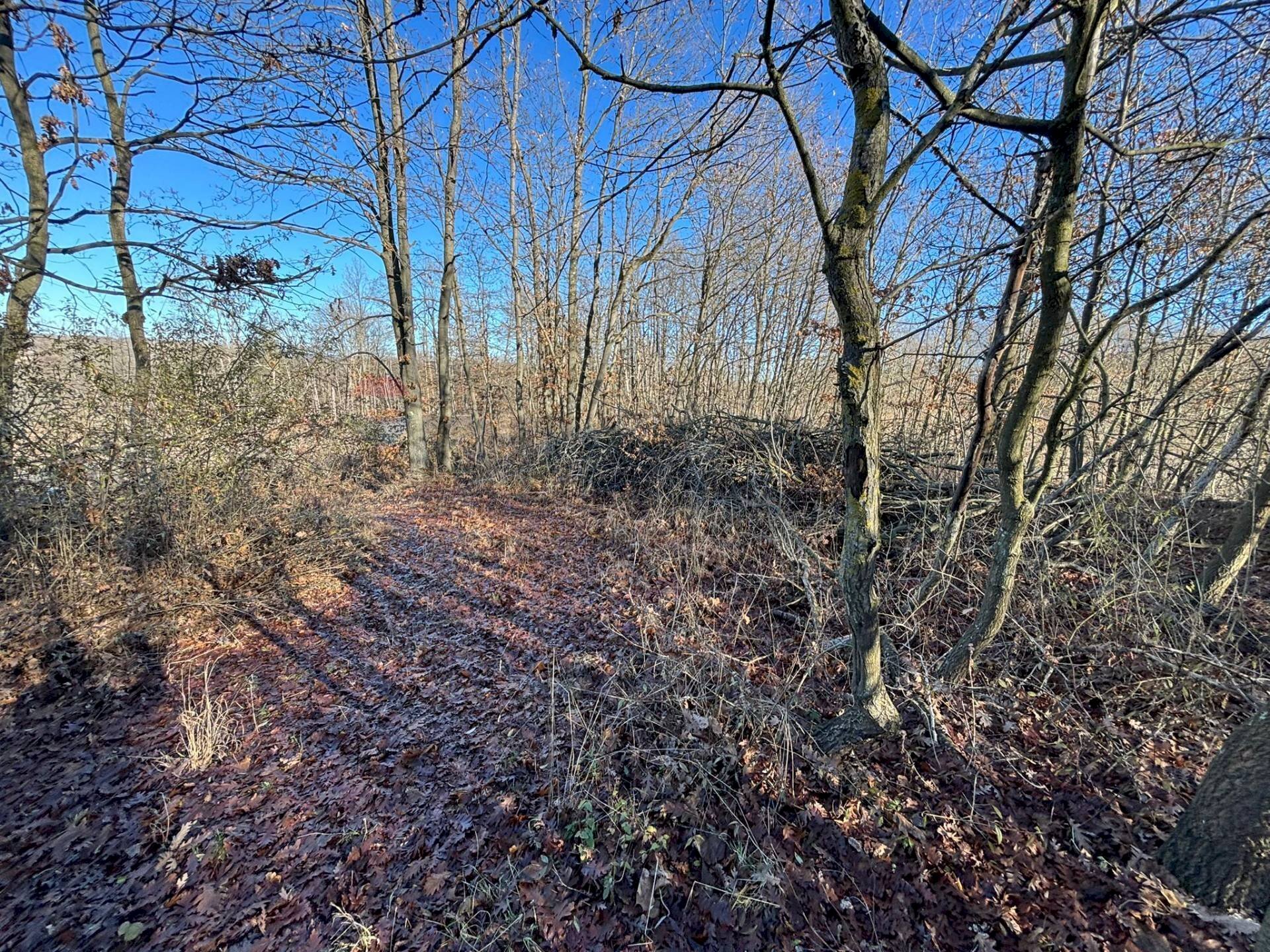 Non correlato - Terreno agricolo Montezemolo - foto 2
