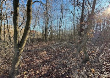 Non correlato - Terreno agricolo Montezemolo - foto 3