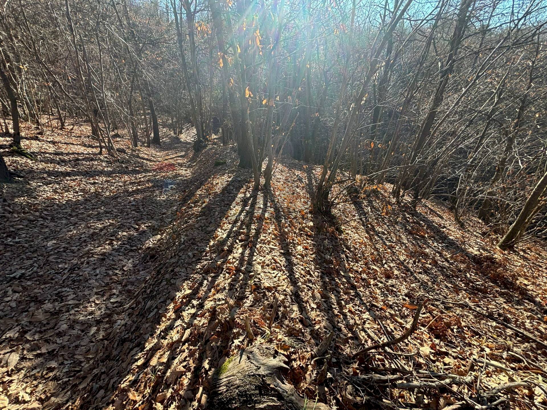 Non correlato - Terreno agricolo Montezemolo - foto 2