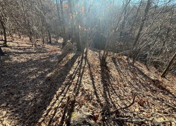 Non correlato - Terreno agricolo Montezemolo - foto 2