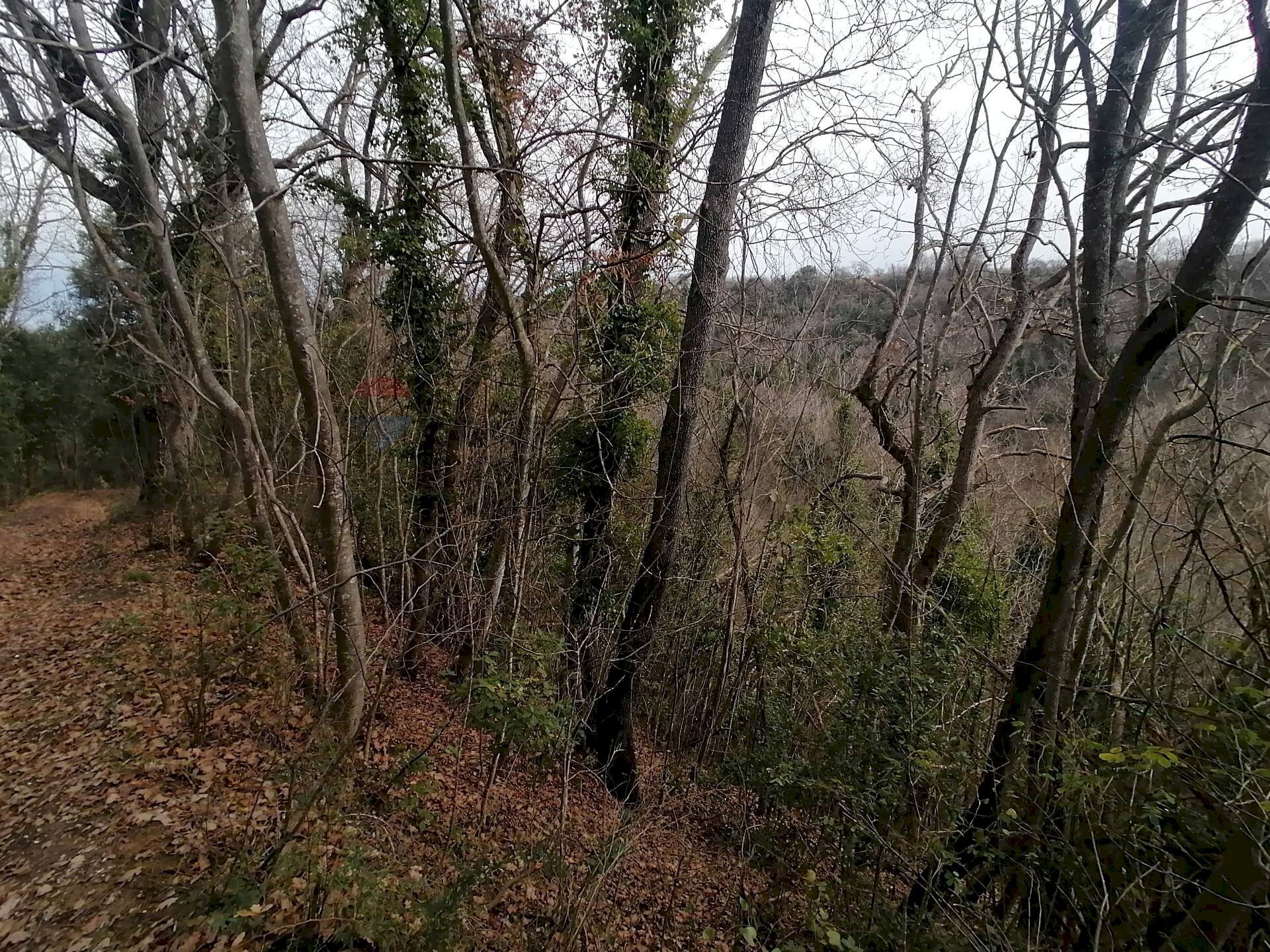 Vista delle montagne - Terreno agricolo Cavallo Morto, Filetto - foto 2