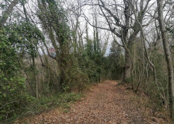 Giardino - Terreno agricolo Cavallo Morto, Filetto - foto 1