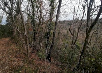 Vista delle montagne - Terreno agricolo Cavallo Morto, Filetto - foto 2