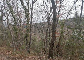 Vista delle montagne - Terreno agricolo Cavallo Morto, Filetto - foto 4