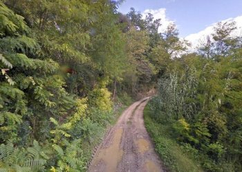 Giardino - Terreno agricolo Cavallo Morto, Filetto - foto 7