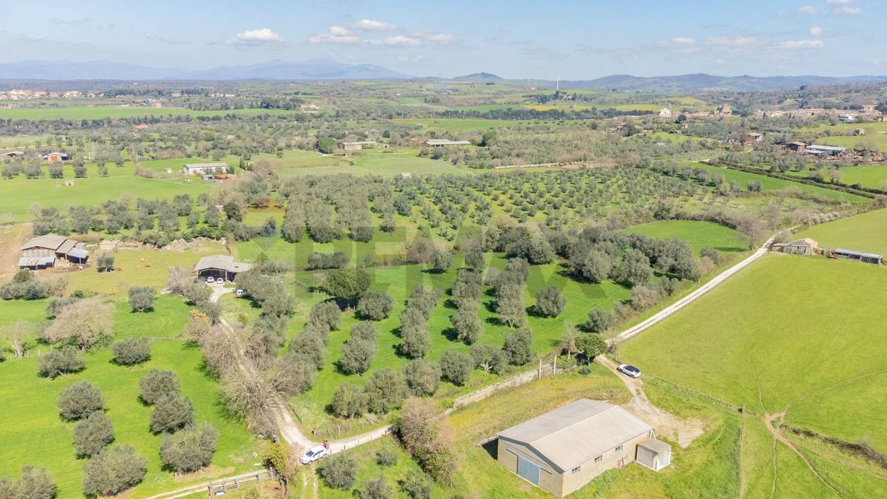 Vista delle montagne - Terreno agricolo Località Pantano
 
snc, Ischia di Castro - foto 1
