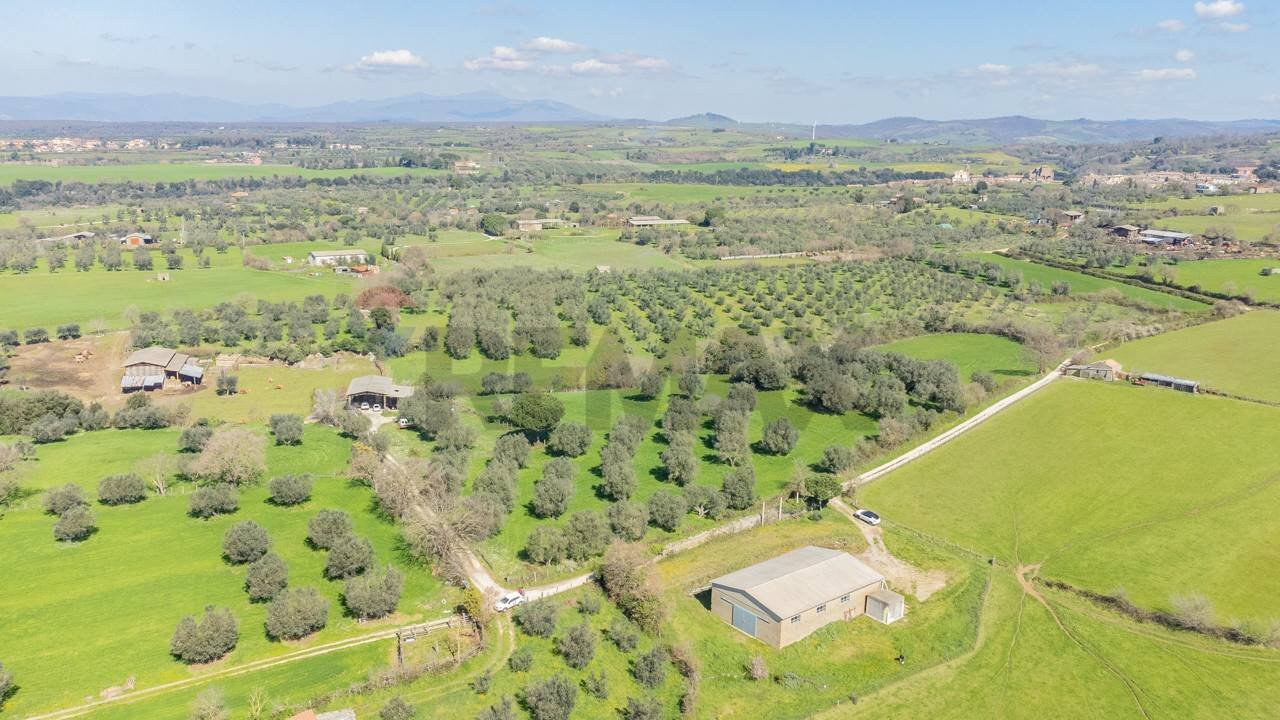 Vista delle montagne - Terreno agricolo Località Pantano
 
snc, Ischia di Castro - foto 2