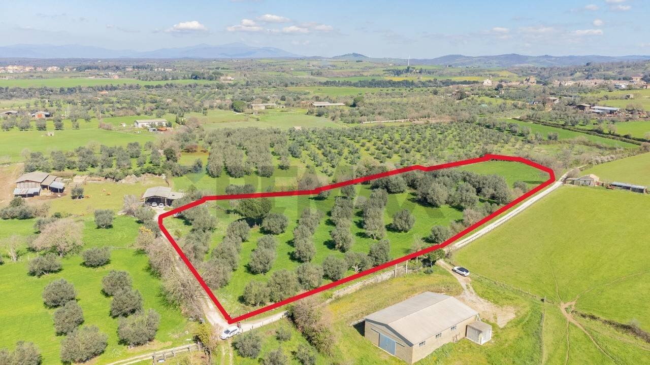 Posizione della mappa - Terreno agricolo Località Pantano
 
snc, Ischia di Castro - foto 3