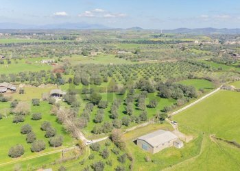 Vista delle montagne - Terreno agricolo Località Pantano
snc, Ischia di Castro - foto 2