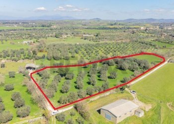 Posizione della mappa - Terreno agricolo Località Pantano
snc, Ischia di Castro - foto 3