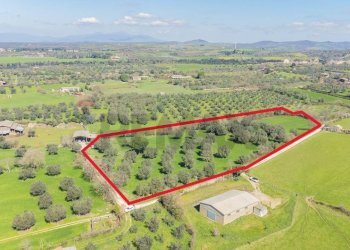 Posizione della mappa - Terreno agricolo Località Pantano
snc, Ischia di Castro - foto 4