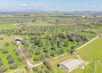 Vista delle montagne - Terreno agricolo Località Pantano
snc, Ischia di Castro - foto 5