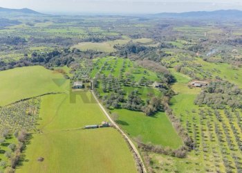 Vista delle montagne - Terreno agricolo Località Pantano
snc, Ischia di Castro - foto 6