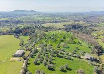 Vista delle montagne - Terreno agricolo Località Pantano
snc, Ischia di Castro - foto 7