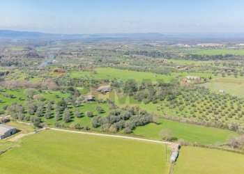 Vista delle montagne - Terreno agricolo Località Pantano
snc, Ischia di Castro - foto 9