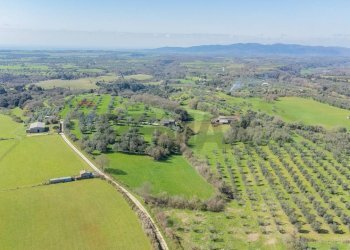 Vista delle montagne - Terreno agricolo Località Pantano
snc, Ischia di Castro - foto 10